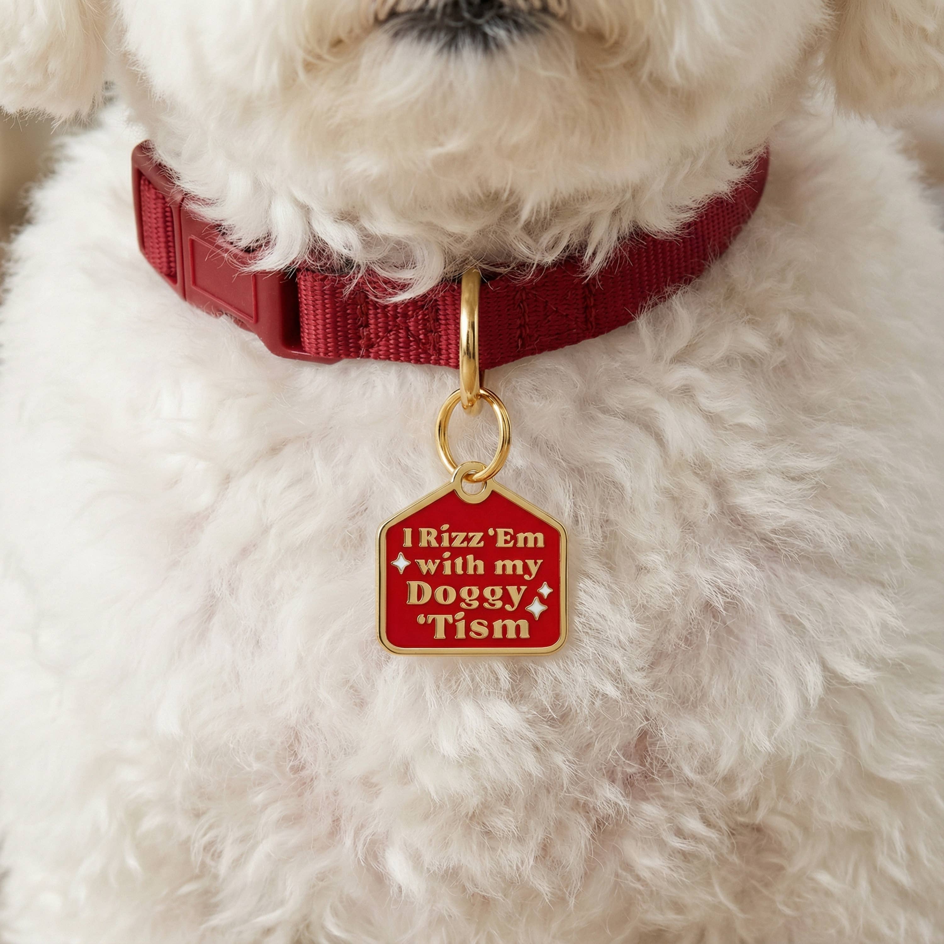 Bad Tags Doggy 'Tism Charm