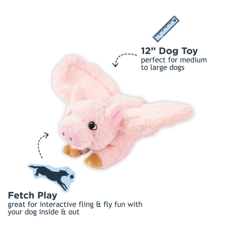 Tall Tails Flying Pig