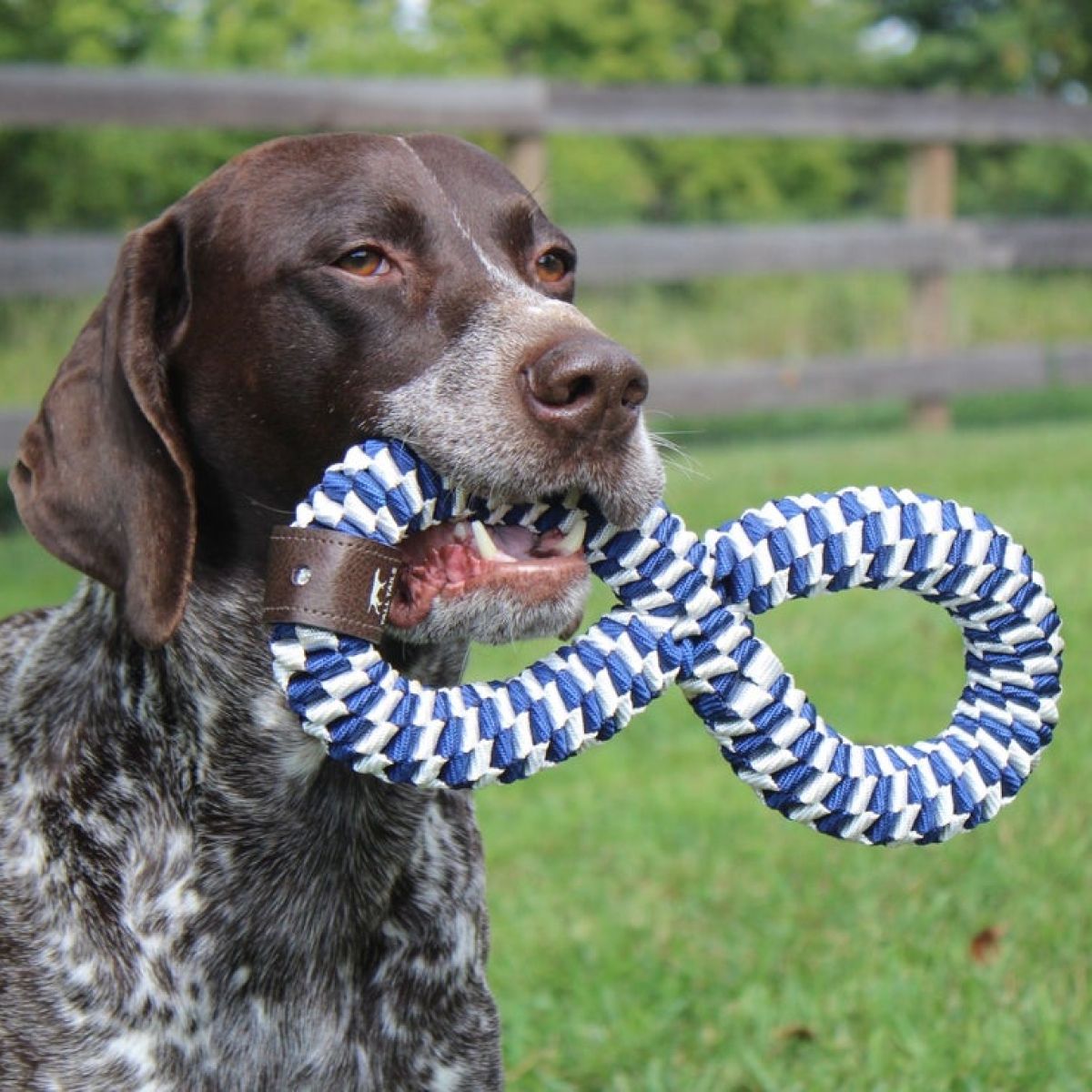 Tall Tails Navy Braided Infinity Tug Toy