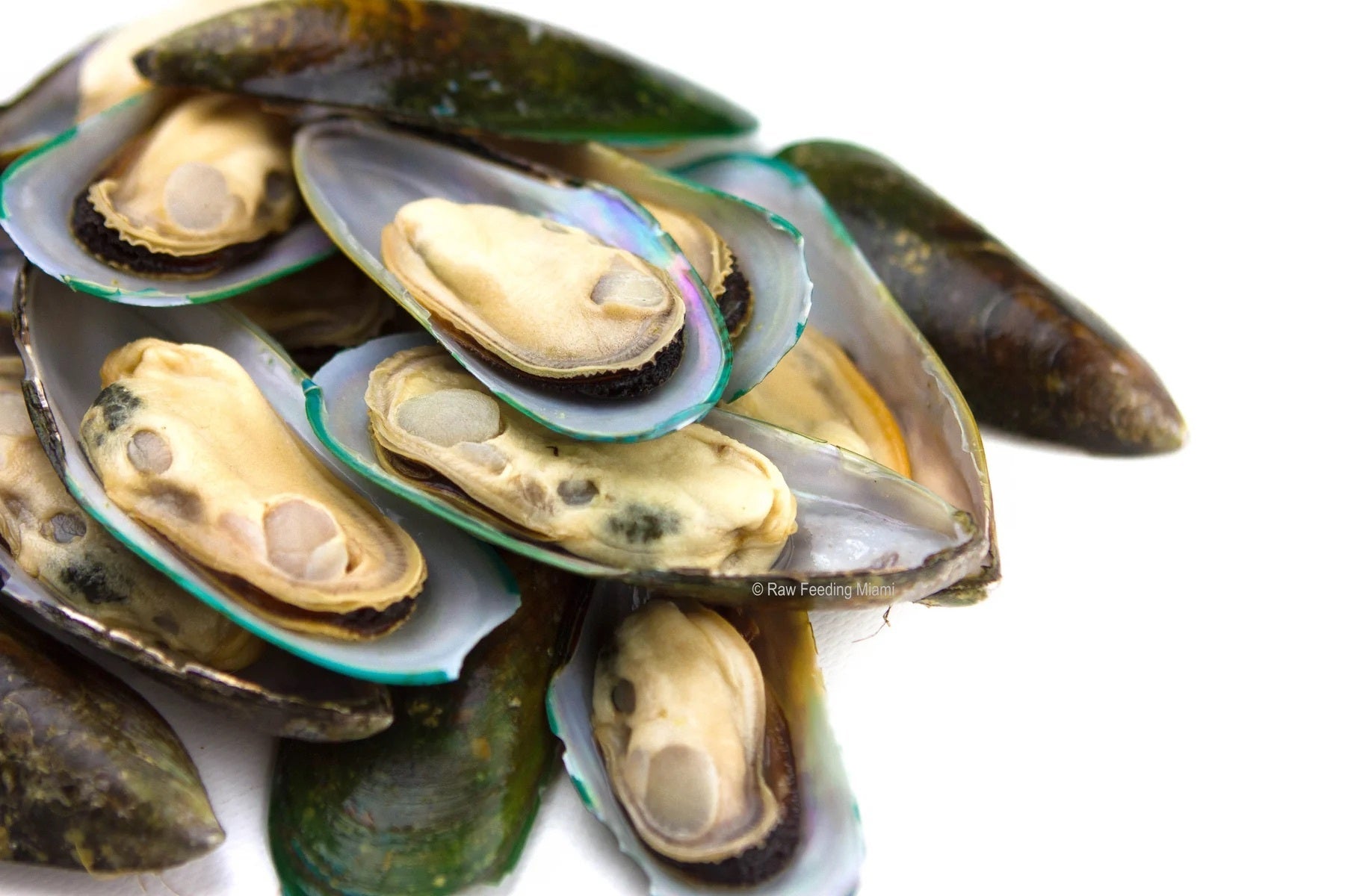 Rawr Dog/Cat Green Lipped Mussel Frozen 1lb