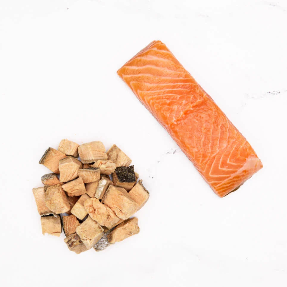 Badlands Superfood Bites Salmon 4oz