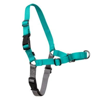 PetSafe Easy Walk Medium Teal/Gray