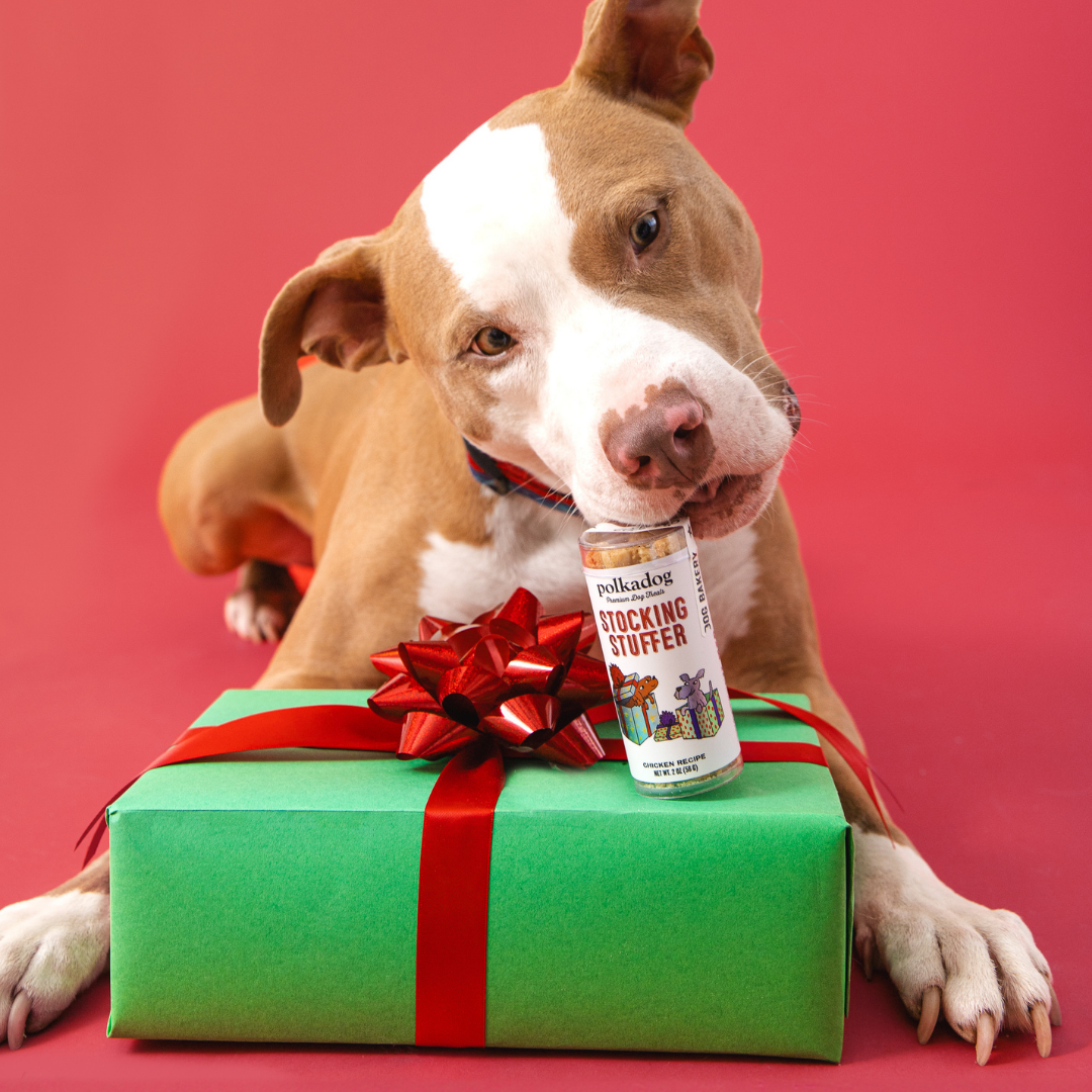 PolkaDog Bakery Dog Stocking Stuffer Mini 2oz Tube - Chicken Recipe