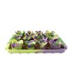 Tall Tails Foraging Mat Succulent