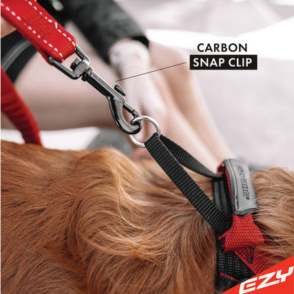 EzyDog Zero Shock Leash - Blue