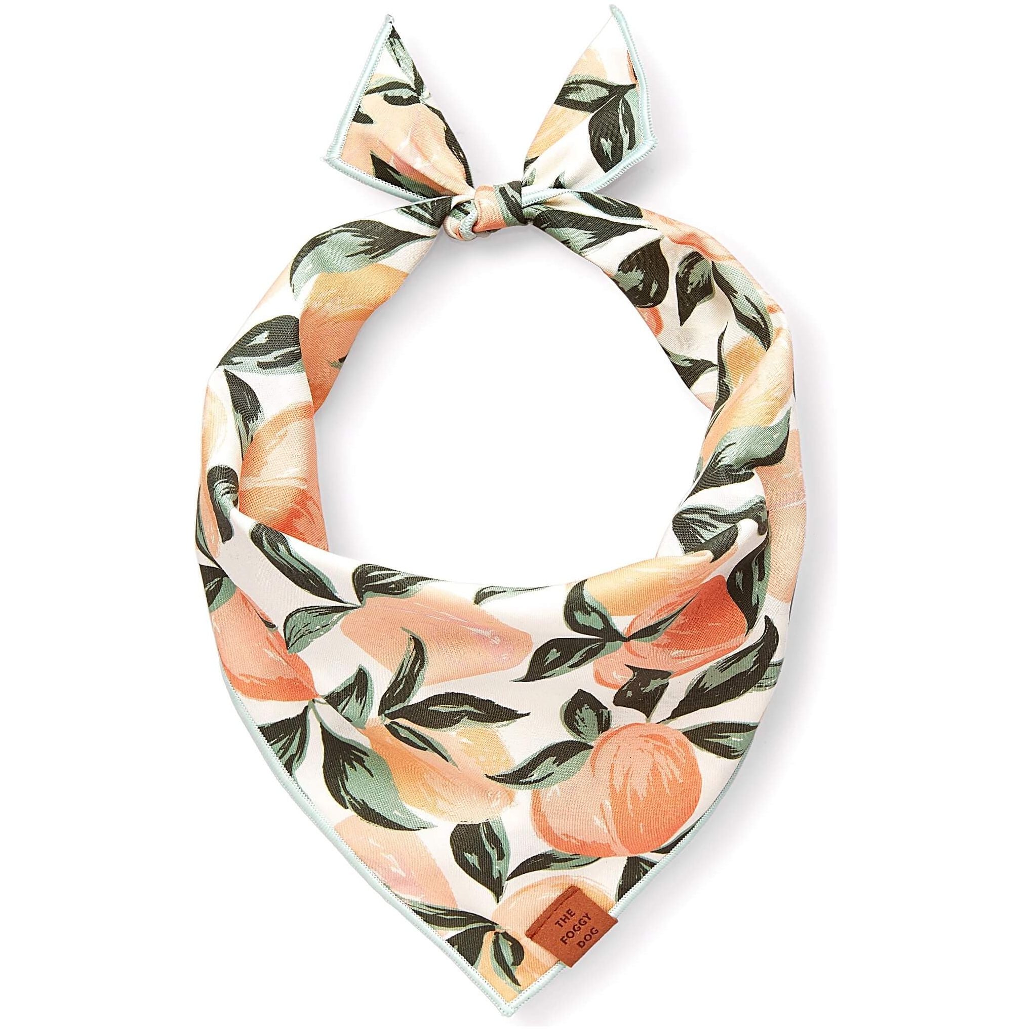 The Foggy Dog Peaches and Cream Dog Bandana