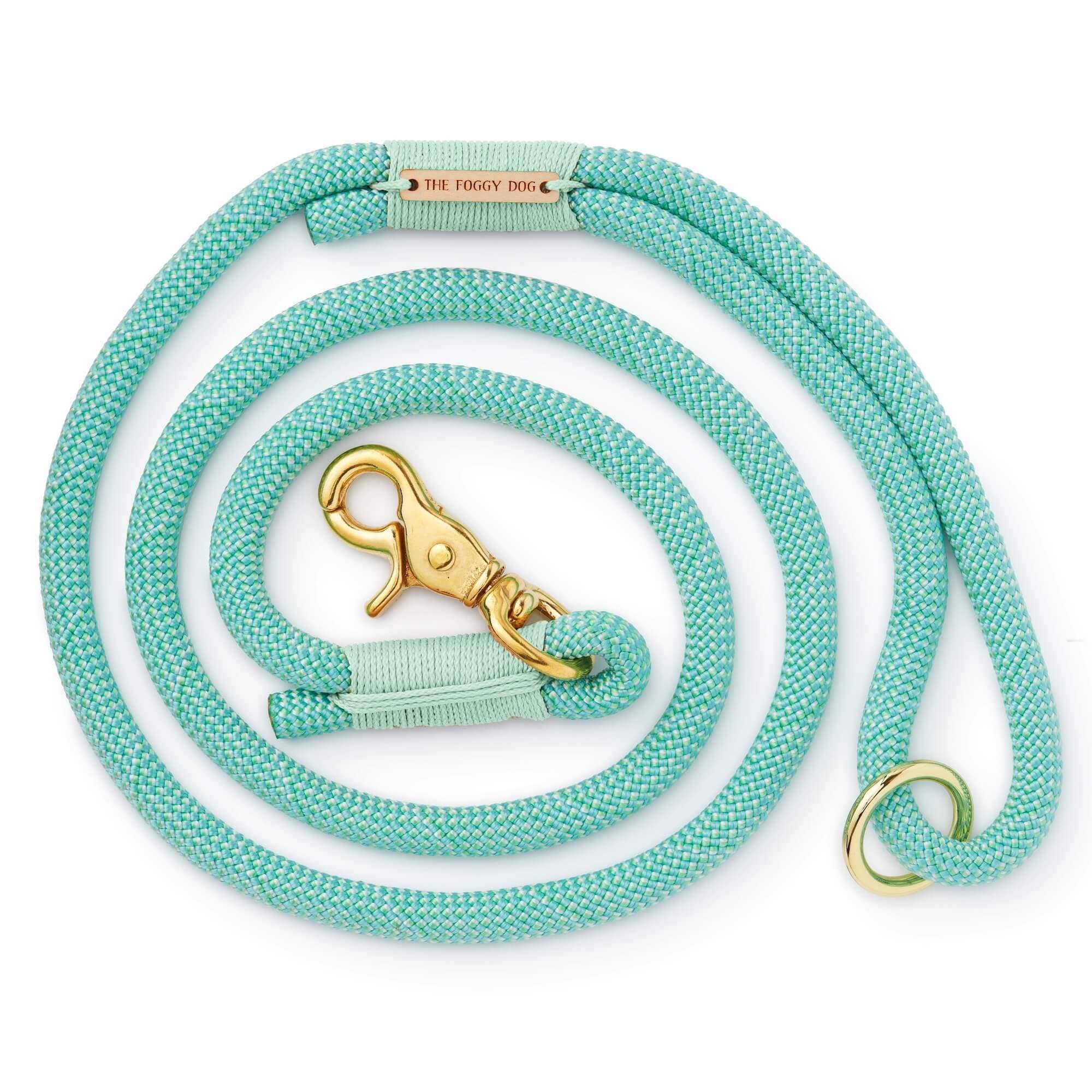 The Foggy Dog Spearmint Climbing Rope Dog Leash - Mint Cording