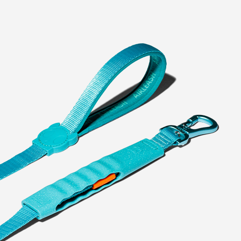 Zee.Dog Airleash - Blue